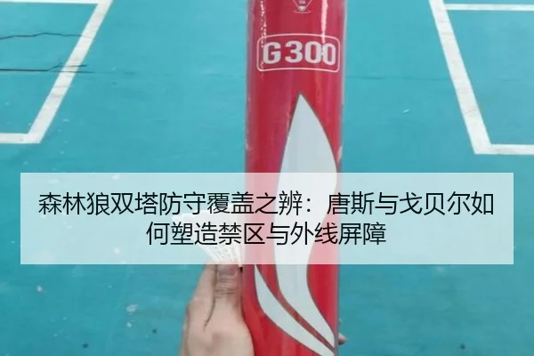 森林狼双塔防守覆盖之辨：唐斯与戈贝尔如何塑造禁区与外线屏障