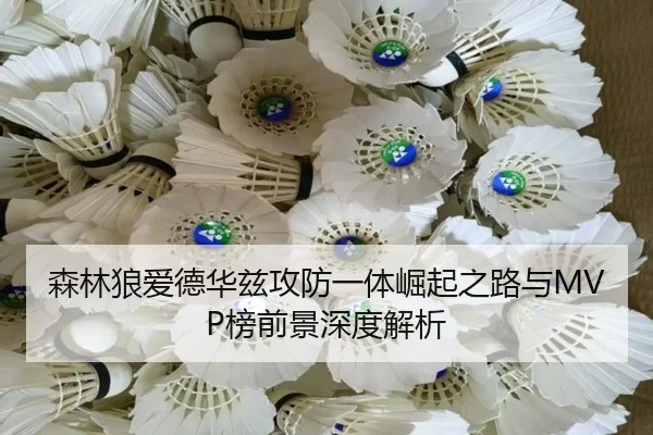 森林狼爱德华兹攻防一体崛起之路与MVP榜前景深度解析