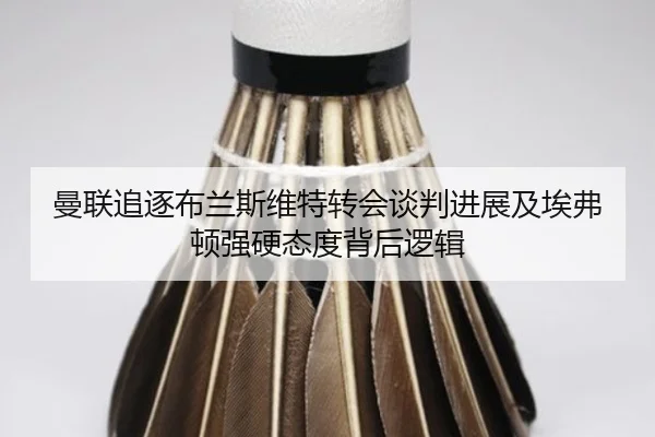 曼联追逐布兰斯维特转会谈判进展及埃弗顿强硬态度背后逻辑